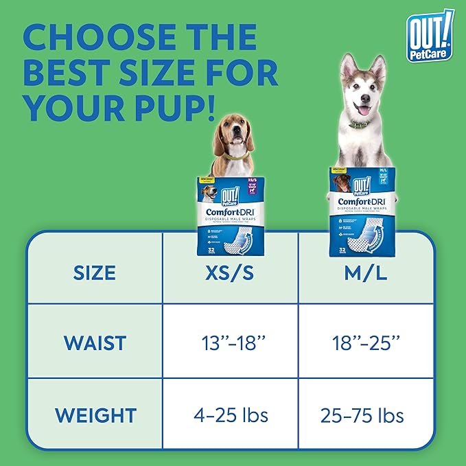 OUT! PetCare Disposable Dog Diapers Male, Puppy Belly Band, Potty Training, Doggie Diapers, Belly Bands for Male Dogs, Puppy Training, Adjustable Fasteners, Incontinence, (XS/S, 12ct) (Pack of 3)