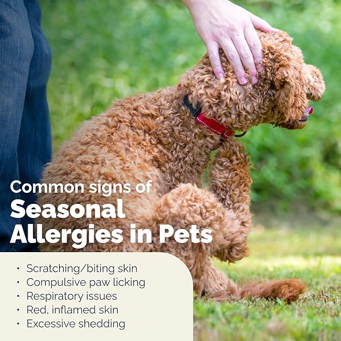 Vetnique Dermabliss Anti Itch Spray for Dogs & Cats with Hydrocortisone for Allergies and Immediate Dog Itching Skin Relief - Fragrance Free with Soothing Oat Extract (4oz)
