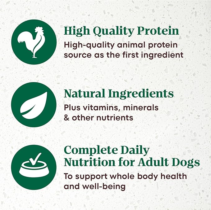 Nutro Ultra Wet Dog Food Senior Pate Trio of Proteins Chicken, Lamb & Whitefish, Senior Dog Wet Food, 3.5 oz. Trays, (24 Count, Pack of 1)