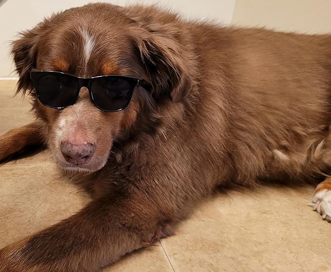 G006 Dog Pet 80s Costume Sunglasses Prop Photoshoot Medium Breeds 20-40 lbs (2-Pack Black+ Black-Emerald Green Mirror)