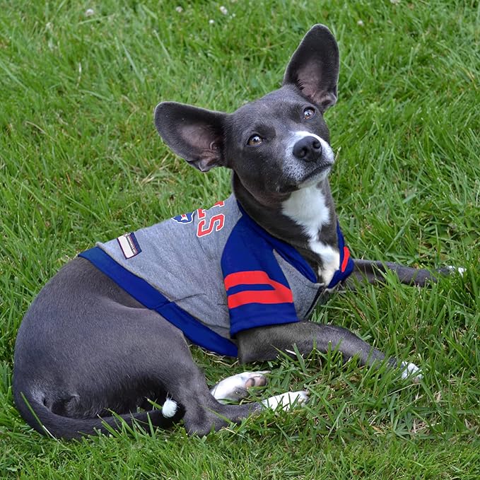 Buffalo Bills Hoodie Tee Shirt