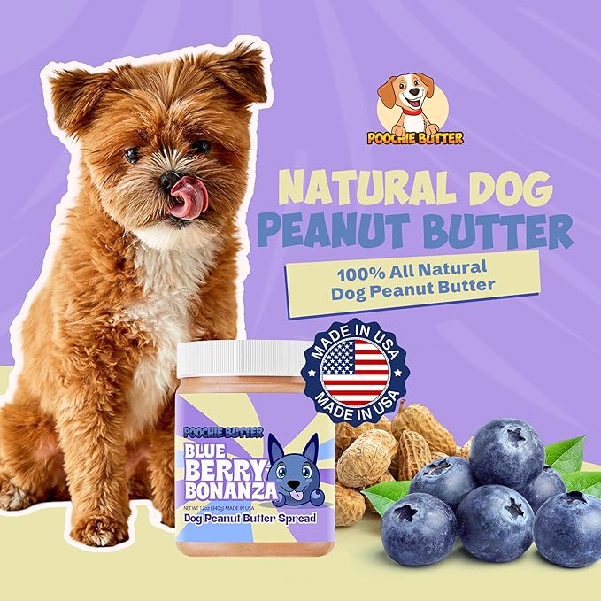 Dilly's Blueberry Dog Treats | Chunky Dog Peanut Butter with Blueberry, Natural Dog Snack (12oz Jar)