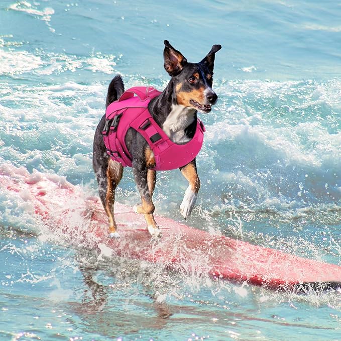 Queenmore Small Dog Life Jacket,Small Dog Life Vest for Swimming,Adjustable Reflective Dogs Swimming Vest,High Buoyancy Dogs Lifesaver,Pet Life Preserver(Rosered,S)