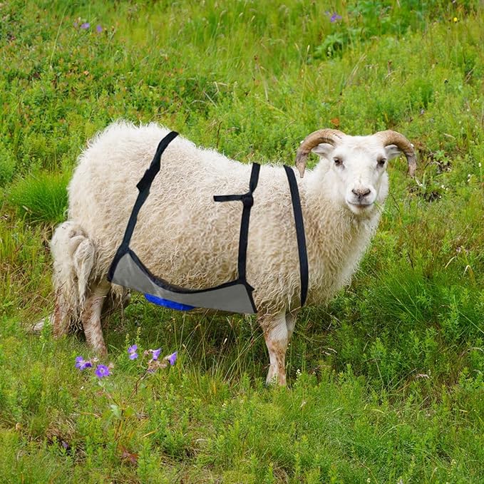 Goat Anti Breeding Apron, Anti Mating Skirt Goat Apron, Anti-mating Sheep Bellyband, Animal Supplies, Livestock Clothing with Adjustable Strap, Anti Breeding Sheep Animal Skirt for Goats Sheep (Blue)