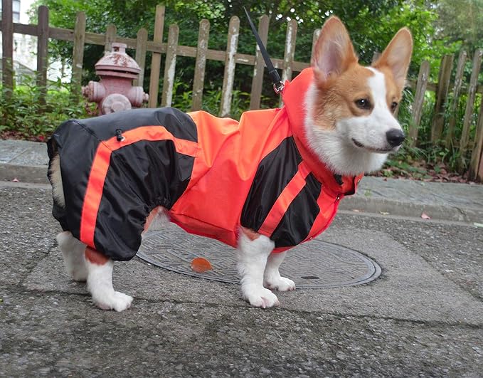 Lovelonglong Welsh Corgi Dog Hooded Raincoat, Dachshund Rain Jacket Poncho Waterproof Clothes with Hood Breathable 4 Feet Four Legs Rain Coats for Corgis Dachshund Red D-M