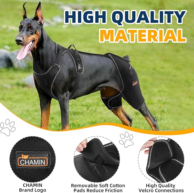 CHAMIN Dog Hip Brace with Back Handheld Design, Support for Hip Dysplasia, Arthritis, Back Leg limping, Reduce Hip Pain & Accelerated Recovery After Surgery etc(Extra Large)