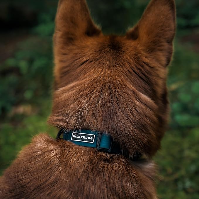 Wilderdog Waterproof Dog Collar - Repels Water & Dirt - Medium 13"-18" - Pacific Blue
