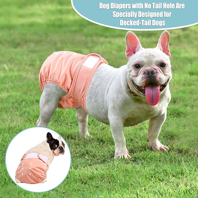 wegreeco Frenchie Dog Diapers Female No Tail Hole, Washable Pet French Puppy Bulldog Diapers Female for Period Heat, Reusable Doggy Doggie Dog Diapers （Small）