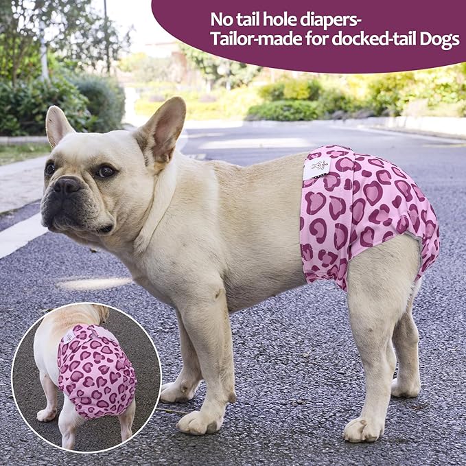 CuteBone Washable Dog Diapers Female No Tail Hole 3 Pack Reusable Doggie Period Training Pants for Docked-Tail Frenchie French Bulldog Boston Terrier Without Tail WWD18S