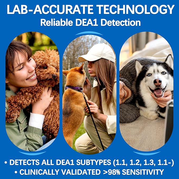 Canine Dog Blood Typing Test Kit for DEA1 Detection | at-Home Dog Blood Type Test with Free Stainless Steel ID Tag
