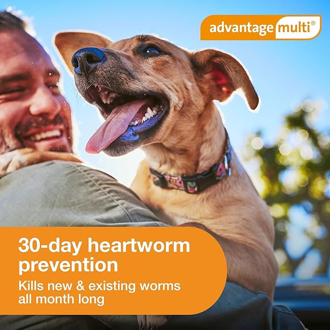 Advantage Multi Topical Solution for Dogs 6 Doses, 20.1-55 lbs (Red)