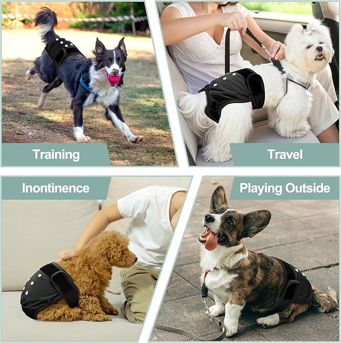 Female Dog Diapers 5Pcs - Premium Reusable Diapers for Doggie in Heat - Highly Absorbent Dog Diapers Female for Pet Incontinence with Adjustable Snaps,Black, M