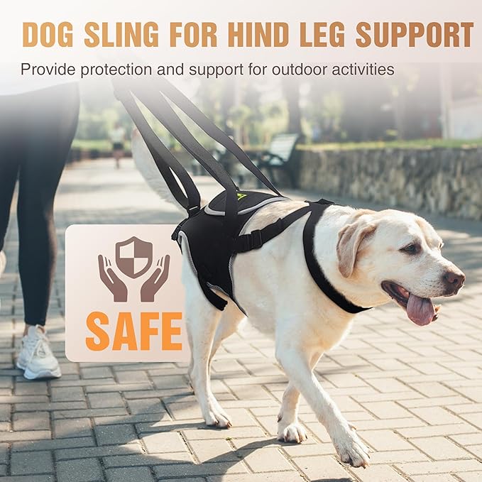 Dog Lift Harness for Large Dogs, Hind Leg Support Sling for Mobility Assistance, Helps with Muscle Weakness & Joint Issues, Assists Walking and Balance, Size L