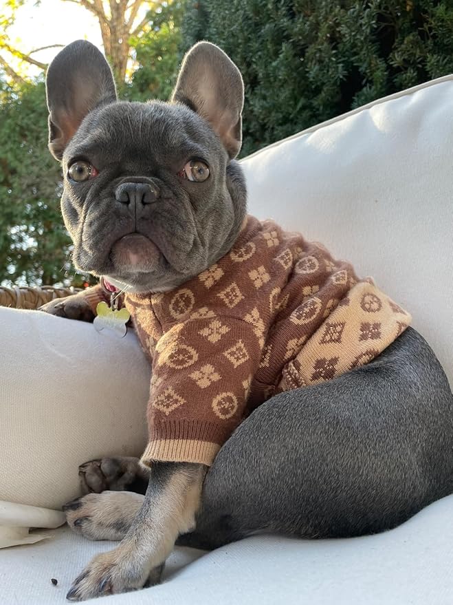 Luxury Dog Sweater – Soft Knit Designer Pet Outfit for Small Dogs & Puppies, XS–L, Stylish Warm Clothing for Yorkies, Chihuahuas, Dachshunds, Maltese, French Bulldog