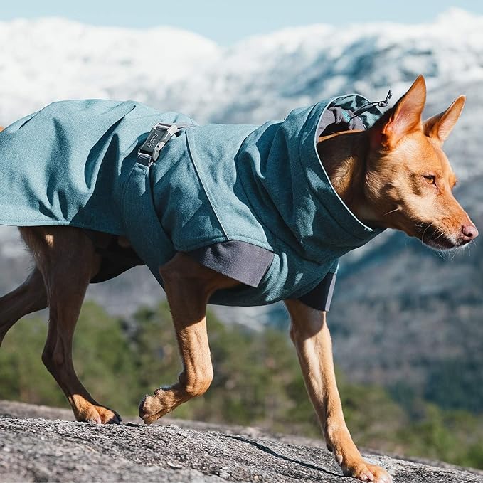 Hurtta Expedition Parka, Winter Dog Coat, Bilberry, 32 in