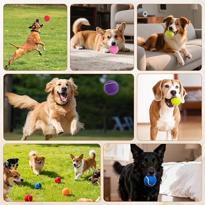 Tennis Balls for Dogs 80 Pack,2.5 inches,Durable and Non-Toxic Dog Toys Balls with Mesh Bag,Colorful Fetch Toys Balls for pet Dog (Non Squeaky)