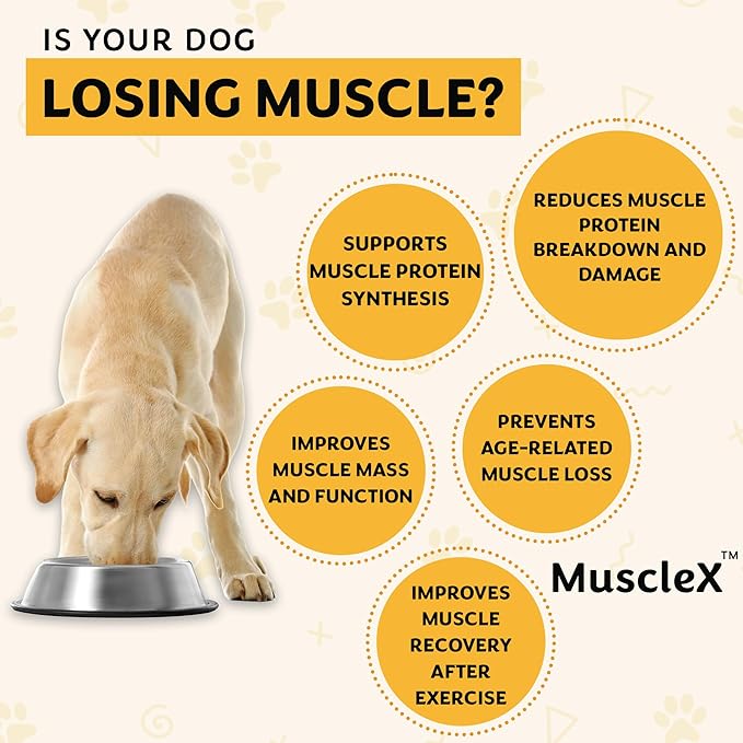 MuscleX™ Canine Muscle Formula Dogs with CaHMB 500 mg and Vitamin D3 - Natural Muscl Building Formula - Helps Reduce Muscle Loss Due to Normal Aging and Improves Recovery from Injury (90 Capsules)