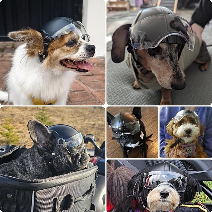 PETLESO Small Dog Helmet, Pet Motorcycle Helmet with Ear Holes, Adjustable Pet Safety Hat with Flip-Up Clear Visor, Small-Medium Puppy Heads Protection, Non-Spiked
