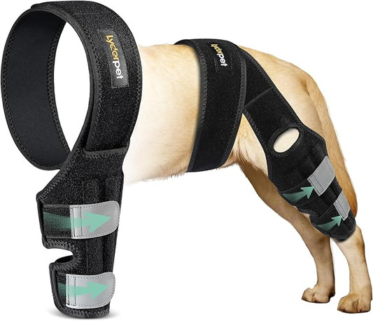ACL Knee Brace for Dogs Back Leg, Canine Care CCL Brace for Dogs Hind Leg, Better Recovery Knee Brace for Rear Leg Cruciate Ligament Injuries, Reduces Pain and Inflammation XL
