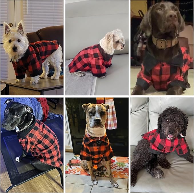 KOOLTAIL Fall Dog Shirt, Thanksgiving Orange Plaid Pet Shirts, Cute Dog Apparel Clothes Suitable for All Seasons, Comfortable Dogs T-Shirt for Small Medium Large Dogs Cats, Pet Outfit Costume, S