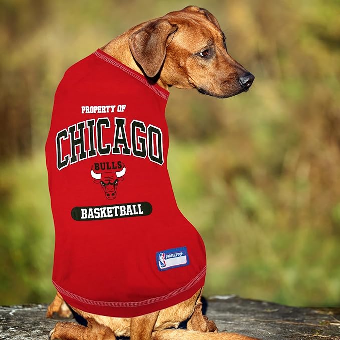 Pets First NBA Licensed Hoodies & T-shirt for Dogs & Cats, Chicago Bulls, X-Small