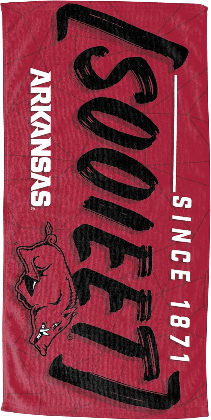 Northwest NCAA Unisex-Adult Hooded Youth Beach Towel