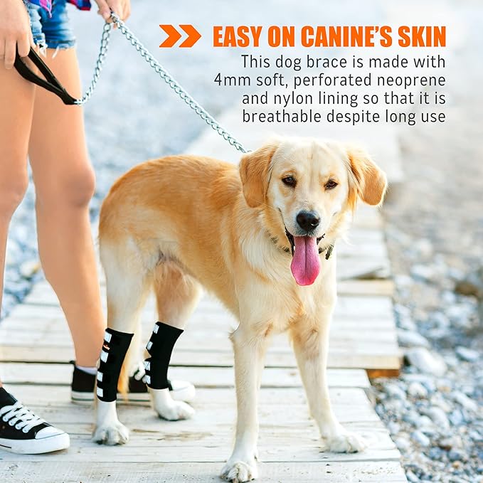 NeoAlly® - Rear Leg Hock Brace, Dog Leg Brace for Rear Leg, Hock & Ankle Support for Large Dogs, Dog Brace for Torn Acl and Ccl, Long Version, Extra Large, 1 Pair