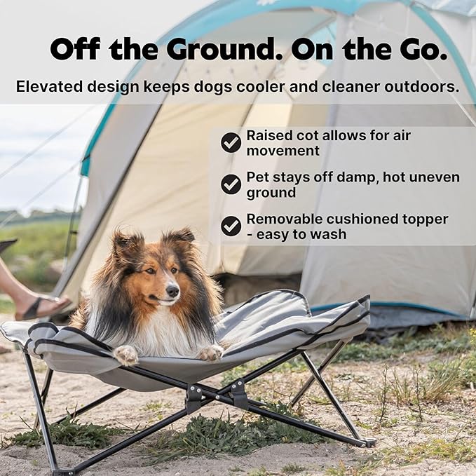 Trixie Camping Cot for Small Dogs up to 35 lb, Elevated Pet Travel Bed 27.2" x 27.2", Portable Steel Frame Lounger with Removable Topper, Foldable Design, Storage Bag Included