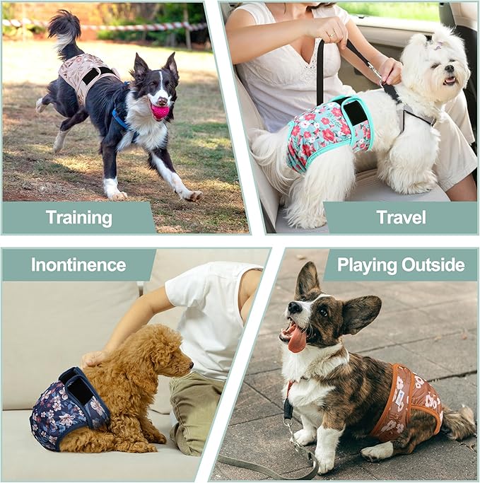 Female Dog Diapers 5Pcs - Premium Reusable Diapers for Doggie in Heat - Highly Absorbent Dog Diapers Female for Pet Incontinence with Adjustable Snaps, Breenish Lily Flower, M