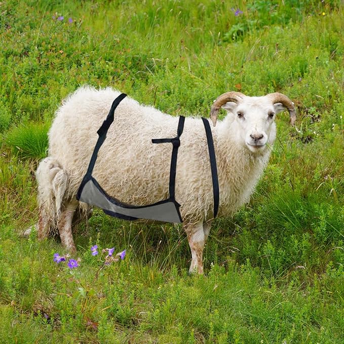 Goat Anti Breeding Apron, Anti Mating Skirt Goat Apron, Anti-mating Sheep Bellyband, Animal Supplies, Livestock Clothing with Adjustable Strap, Anti Breeding Sheep Animal Skirt for Goats Sheep (Black)
