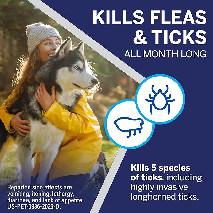 NexGard® (afoxolaner) Flea and Tick Protection for Dogs Oral Soft Beef Flavored Chewables, 4 to 10 lbs. (Orange Box) 6 Chews (6 Month Supply)