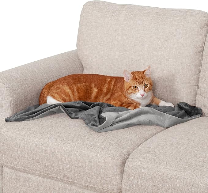 Furhaven Waterproof Throw Blanket for Dogs & Indoor Cats, Washable - Two-Tone Luxe Velvet Dog Blanket - Granite Gray, Small