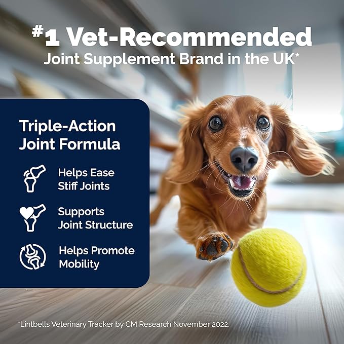 YuMOVE Hip & Joint Supplement for Dogs - Glucosamine, Green Lipped Mussel, Hyaluronic Acid & Omega 3 Supports Mobility, Flexibility & Joint Comfort - 60 Chews (Small/Medium Dogs)