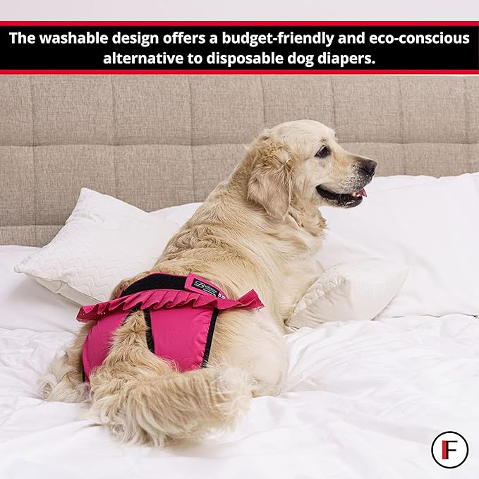 FINNERO Ballerina Dog Diaper – Washable, Reusable, Leak-Proof – Heat, Period & Urine Incontinence Protection – Comfortable, and Stylish Design – Adjustable Fit for Female Dogs – XXS, Purple