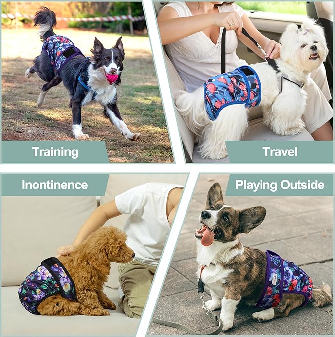 Female Dog Diapers - Premium Reusable Diapers for Doggie in Heat - for Pet Incontinence with Adjustable Snaps Rose Flower, XXL