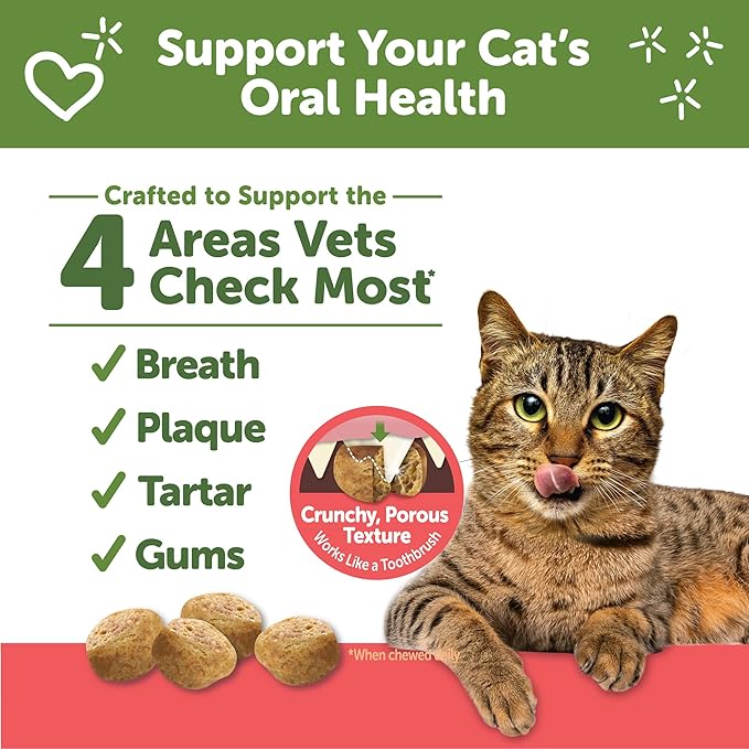 WHIMZEES Wellness Cat Dental Treats, Chicken and Salmon Flavor, (2 Ounce Bag)