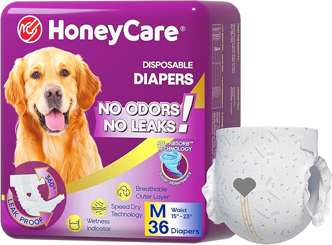 HONEY CARE All-Absorb Disposable Female Dog Diapers M Size, Improved Bigger Size, 36 Count, Super Absorbent, Breathable, Wetness Indicator (Pack of 1, 36 Count Total)