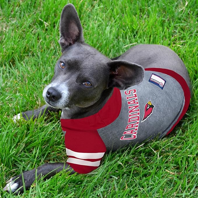 Pets First NFL Arizona Cardinals Hoodie for Cats, Medium, Official Licenced Sporty Pet Shirt