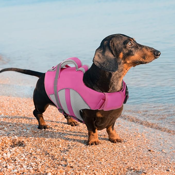 Queenmore Dog Life Vest for Swimming, Adjustable High Visibility Dog Life Jacket with Superior Buoyancy and Rescue Handle, Pink, XS