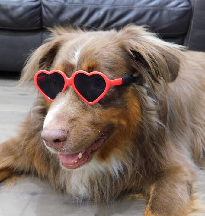 G012 Dog Pet Costume Prop Sunglasses Heart Shape Medium Breeds 20lb-40lbs (2-Pack Red +Pink-Pink Mirror)
