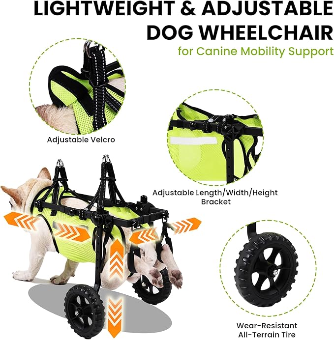 Adjustable Dog Wheelchair for Back Legs, for All Breed Dog - Includes High-Visibility Vest, Leash & Sling Lift, Lightweight Pet Wheelchair for Disabled Hind Legs (Medium, for Small Breed Dog)