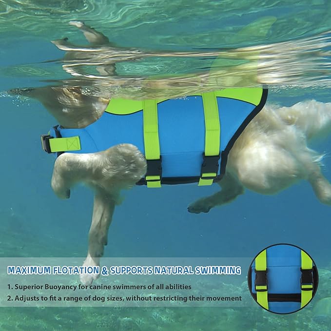 Dogcheer Dog Life Jacket, Cute Shark Dog Life Vest for Swimming Boating with Superior Buoyancy and Rescue Handle, Adjustable Puppy Swim Vest Floating Vest for Small Medium Large Dogs - Blue-Green,L