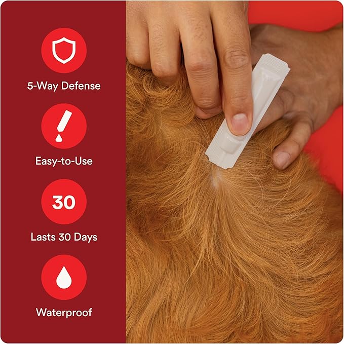 WORM X PLUS 7 Way DeWormer for Large Dogs Over 25 lbs (6 Count) + ADVECTA Flea and Tick Prevention for Large Dogs 21-55 lbs (2 Count) Bundle