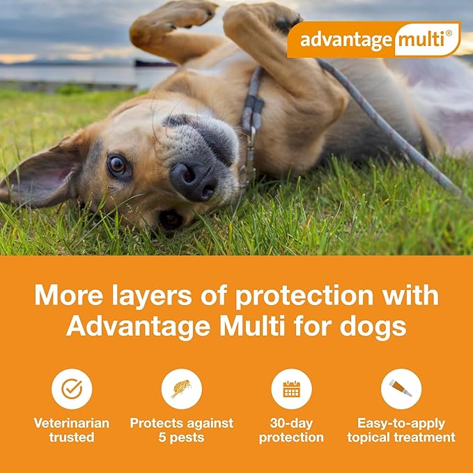 Advantage Multi Topical Solution for Dogs 6 Doses, 20.1-55 lbs (Red)