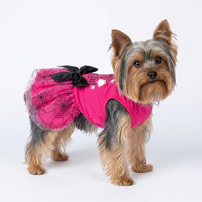 Fitwarm Little Miss Bootiful Halloween Dog Dress, Funny Costumes for Small Dogs Girl, Pet Outfit, Black, Hot Pink, XS