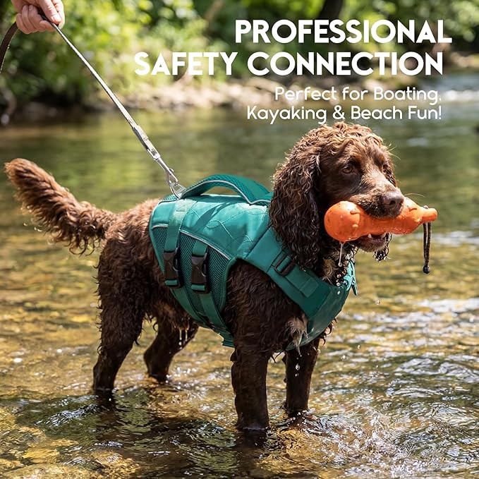 ASENKU Dog Life Jacket, High Floatation Dog Swimming Vest with Rescue Handles for Small Medium Large Dogs, Pet Safety Swimsuit Preserver for Pool Beach Boating (LakeGreen, XL)