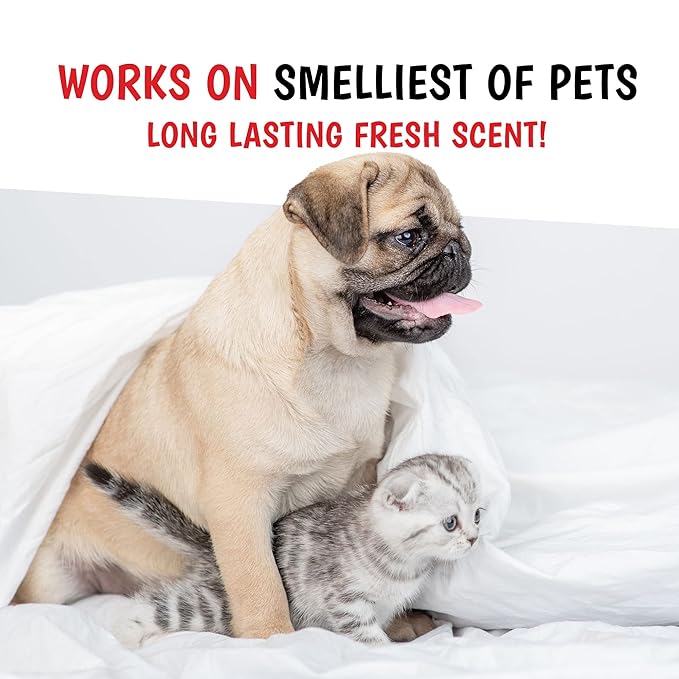 Warren London Wet Kiss Dog Cologne Spray – Milk & Honey | Long-Lasting Odor Eliminator & Coat Freshener for Dogs & Cats | 16 oz