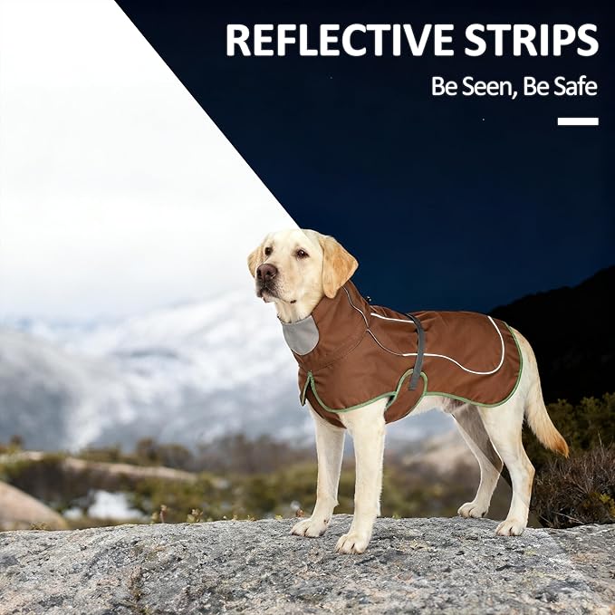 Softshell Dog Winter Vest, Fleece Lined Water-Repellent Jacket with Fur-Safe Buckle (No Hook & Loop) for Hiking, Adjustable Reflective Winter Coat for Active Dogs (Brown, Medium)