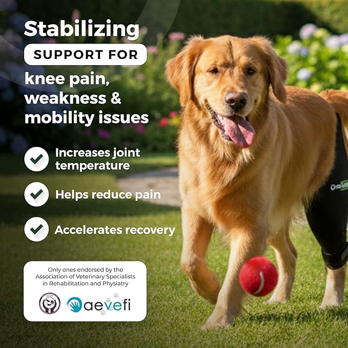Ortocanis Dog Knee Brace for Hind Leg Support – Flexible Neoprene Knee Brace for Dogs with Joint Instability, Torn ACL, Limping or Osteoarthritis – Comfortable Support for Recovery (XXXS, Left Leg)