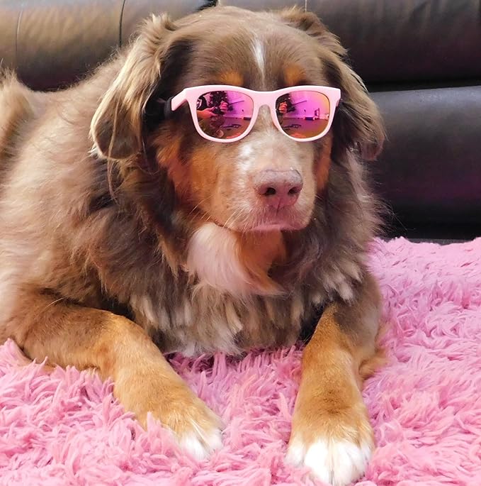 G006 Dog Pet 80s Costume Sunglasses Prop Photoshoot Medium Breeds 20-40 lbs (2-Pack Black+Pink-Pink Mirror)